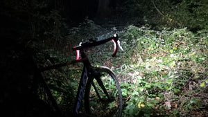 Cyclocross bike in the woods after dark