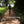 Load image into Gallery viewer, Path to Bath