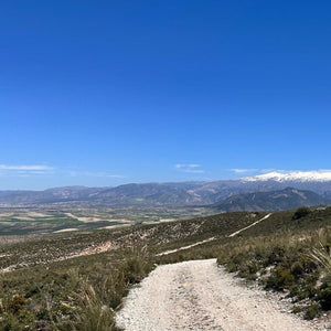 The Camino Pilgrim route stretching across the mountains, offering a scenic cycling route through the stunning Andalucian landscape on Hidden Tracks Cycling's Flamenco Gravel trip.