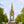 Load image into Gallery viewer, Albert Memorial in Kensington Gardens and the original site of the Crystal palace as seen on Hidden Tracks cycling bike ride across London from Palace to Palace