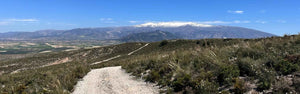 View of the Camino Pilgrim route stretching into the distance, with the Sierra Nevada mountains in the background, as seen on a gravel bike holiday during Hidden Tracks Cycling's Flamenco Gravel trip in April 2025.