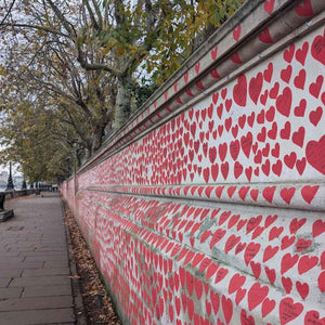 The striking and moving memorial to victims of the Covid Pandemic as found on Hidden Tracks Cycling's Palace to Palace bike ride across the heart of London.
