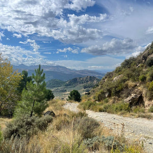 Gravel track descending into a valley, part of an off-road adventure on a Spanish guided bike trip with Hidden Tracks Cycling's Flamenco Gravel trip