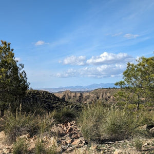 Scrubby landscape under a clear blue sky with the Monts de Malaga in the distance, ideal for a bike adventure and exploring by gravel bike on Hidden Tracks Cycling's Flamenco Gravel trip.