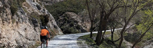Gravel rider cycling along a white dust track in spring, capturing the essence of a Spanish gravel bike ride on Hidden Tracks Cycling's Flamenco Gravel trip in April 2025