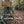 Load image into Gallery viewer, Bicycle leaning against a tree in a forest with Strava branding and text overlay.