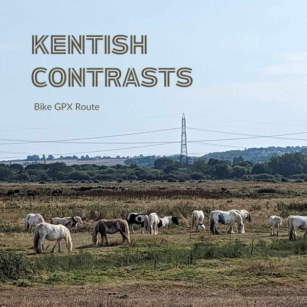 Wild horses on the North Kent Salt marshes