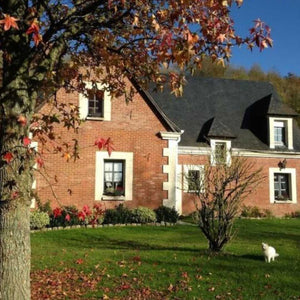 London to Paris gravel ride featuring L'Auberge des Oiseaux Chantants in Willemen, France, with images showing the charming exterior of the inn and surrounding countryside.