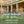 Load image into Gallery viewer, Path to Bath