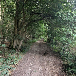Gravel path running through woodland, part of the historic Pilgrims way. Riders were riding from London to Paris on Hidden Tracks Cycling London to Paris adventure
