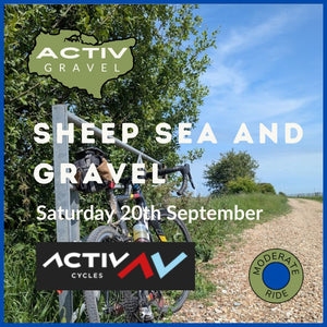 A gravel bike leaning against a gate with a gravel path stretching into the s distance