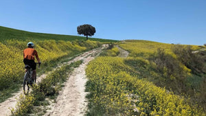 Gravel rider cycling on a dirt path through a field of yellow flowers with a clear blue sky.