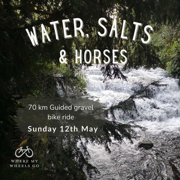 Water, Salts and Horses