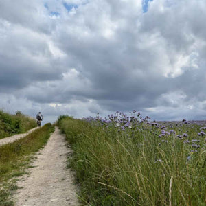 Gravel rider cycling up a white farm track with a verge of wildflowers found on Hidden Tracks Cycling Gravel adventure from London to Paris