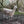 Load image into Gallery viewer, Alpaca at Warlingham