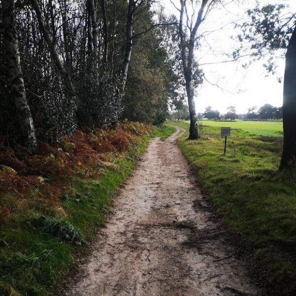 The way to Fort Reigate as found on Hidden Tracks Fort Reigate GPX bike route.