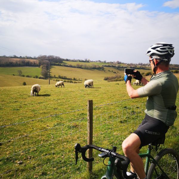 Cyclist in green taking a photo of sheep in a green c valley
