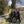 Load image into Gallery viewer, Group of 4 cyclists a the foot of the Box Hill Gravel Climb
