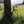 Load image into Gallery viewer, A gravel bike leaning against a tree in open parkland from Hidden tracks cycling 4 Commons GPX bike route