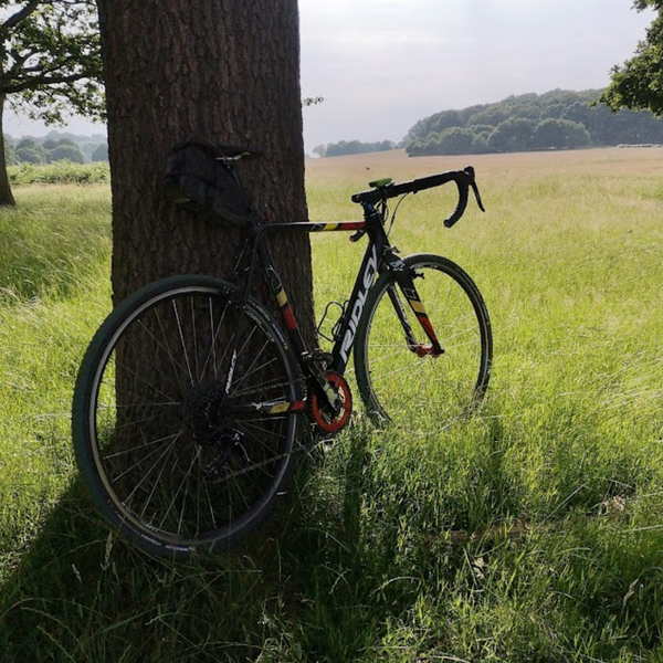 A gravel bike leaning against a tree in open parkland from Hidden tracks cycling 4 Commons GPX bike route