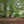 Load image into Gallery viewer, Summer glade in Epping forest on one of Hidden Tracks Cycling’s off-road bike routes from London.