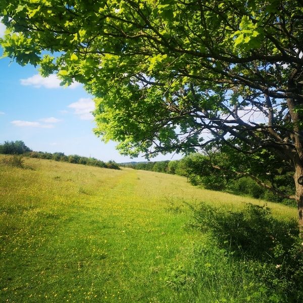 Happy Valley GPX Route