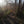 Load image into Gallery viewer, Gravel rider cyclist on woodland trail in early spring.