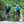 Load image into Gallery viewer, a pair of gravel cyclists riding through a forest of pine trees