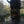 Load image into Gallery viewer, Happy tree – an oak tree with a smiley face graffiti face found on Hidden Tracks Cycling’s Lower Brent Bike ride