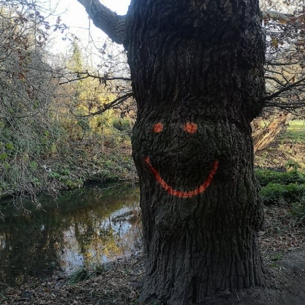 Happy tree – an oak tree with a smiley face graffiti face found on Hidden Tracks Cycling’s Lower Brent Bike ride