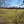 Load image into Gallery viewer, View of downland through a hedge
