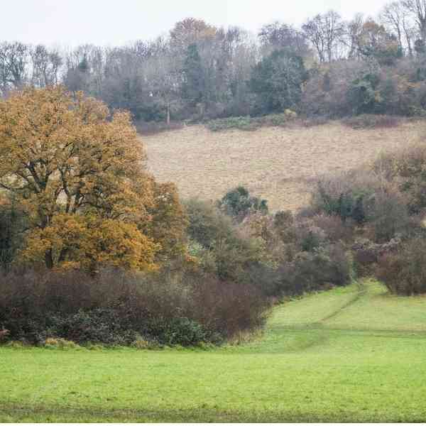 Happy Valley in the early spring with trees just in leaf from Hidden tracks cycling 4 Commons GPX bike route