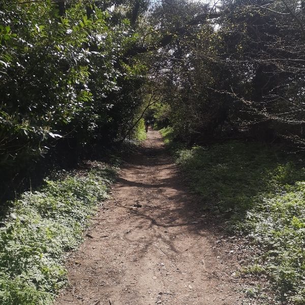Happy Valley GPX Route