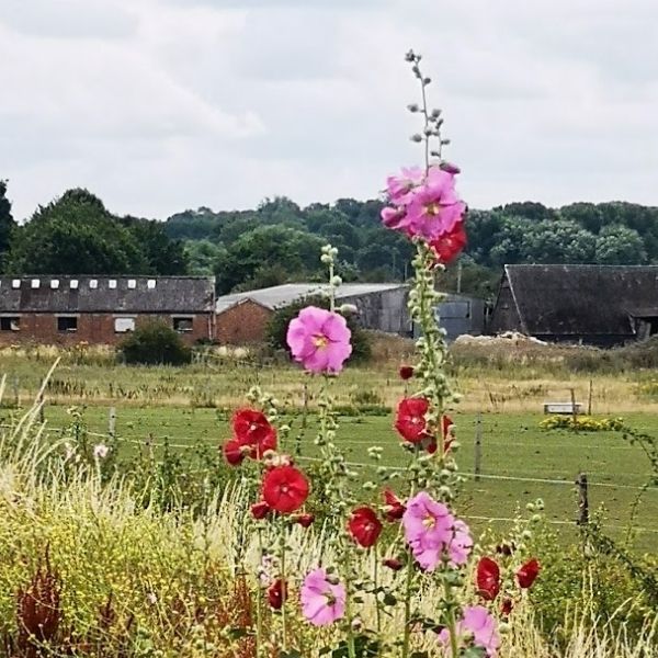 Holly Hocks on Hidden Tracks Cycling’s off-road bike Pilgrimage routes from London to Rochester.