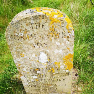 Mile stone on the north down way covered in lichen