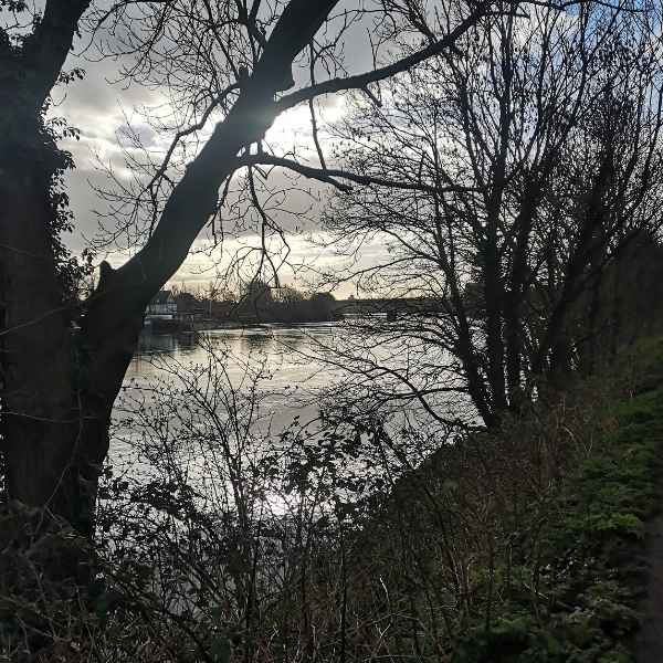 Moody Thames seen on the Womble Hunt bike ride one of Hidden Tracks Cycling collection of Bike routes around London