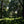 Load image into Gallery viewer, Wooded glade in Spring, as seen on the Womble Hunt bike ride one of Hidden Tracks Cycling collection of Bike routes around London