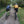 Load image into Gallery viewer, Pair of off-road cyclists enjoying the trails on Hidden Tracks Cycling’s off-road bike exploring the Tillingbourne Valley in Surrey