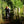 Load image into Gallery viewer, Single cyclist riding on the Tillingbourne Trails  on Hidden Tracks Cycling’s gravel bike route exploring the Tillingbourne Valley in Surrey