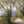 Load image into Gallery viewer, Pair of cyclists riding on the well maintained bridlepaths near Epsom, Surrey on Hidden Tracks Cycling’s Roman road to Box Hill bike route.