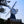 Load image into Gallery viewer, The Windmill on Wimbledon Common, on the Womble Hunt bike ride one of Hidden Tracks Cycling collection of Bike routes around London