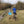 Load image into Gallery viewer, Gravel cyclist leaning against a clue bike route sign near Epsom