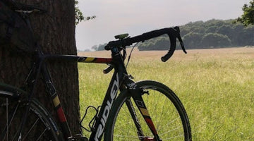 Off road, Gravel or Cyclo cross bike under a tree looking out over green pastures