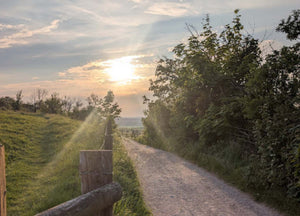 The Wrecker Recce: Riding the Mendips, Ridgeway and Thames into London | UK Gravel Ultra