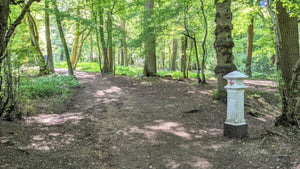 A white Corporation of London Coal Duty boundary Post in a Spring woodland  with a gravel path aside