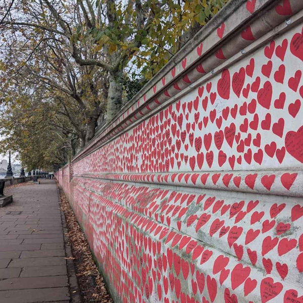 The striking and moving memorial to victims of the Covid Pandemic as found on Hidden Tracks Cycling's Palace to Palace bike ride across the heart of London. 