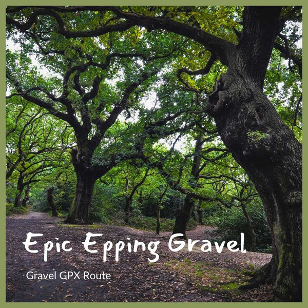 Gravel bike route from London through Epping Forest on the Epic Epping Gravel ride.
