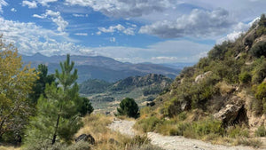 Scenic view of a mountainous landscape of the Montes de Malaga with a dirt path, trees, and a blue sky.