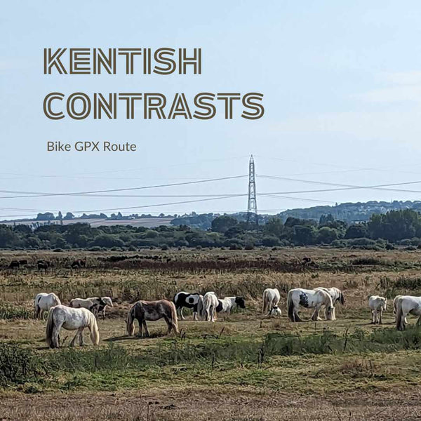 Wild horses on the North Kent Salt marshes 