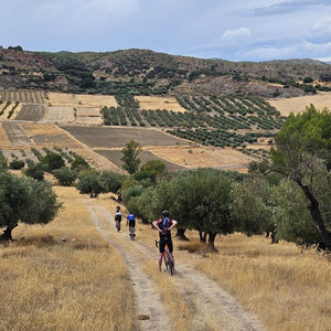 Gravel riders cycling through olive groves on a farm track, enjoying an off-road bike adventure on Hidden Tracks Cycling's Flamenco Gravel trip